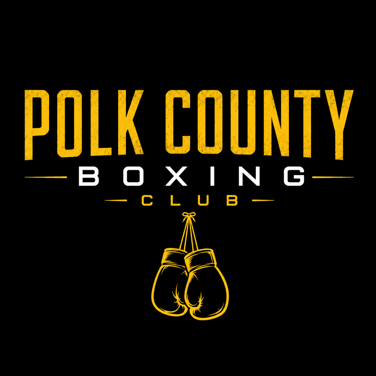 Polk County Boxing