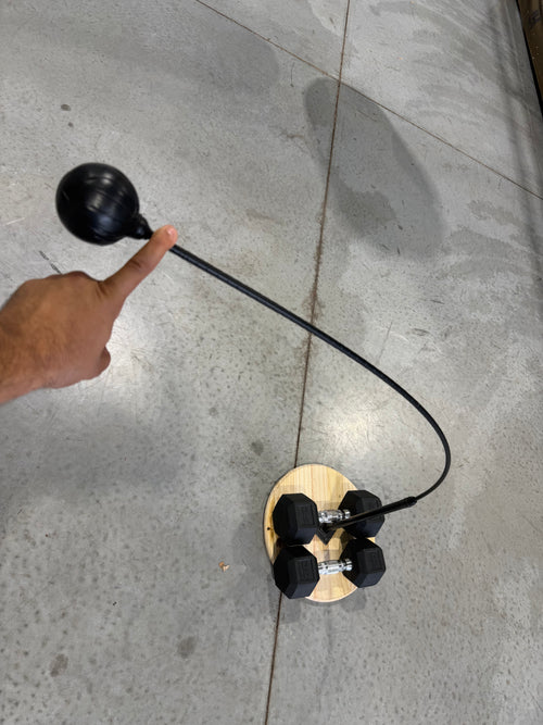 PUNCHLINE™ / Boxing Reflex Trainer